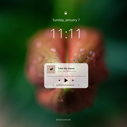 Corazón de Pensamientos