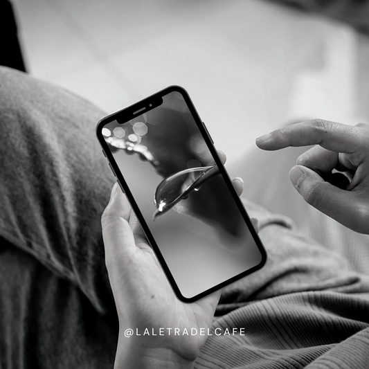 Serenidad después de la Lluvia