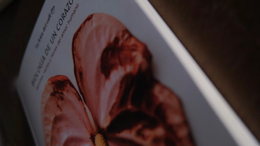 Mi nuevo libro: Biología de un corazón