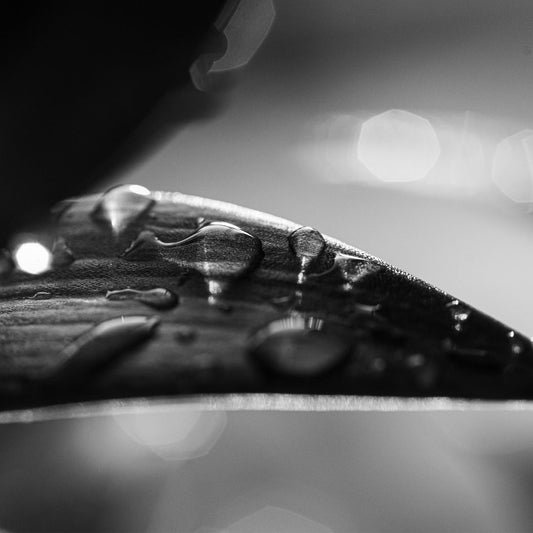 Serenidad después de la Lluvia