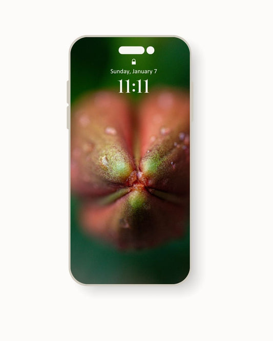 Corazón de Pensamientos