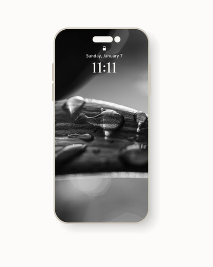 After Rainfall Serenity