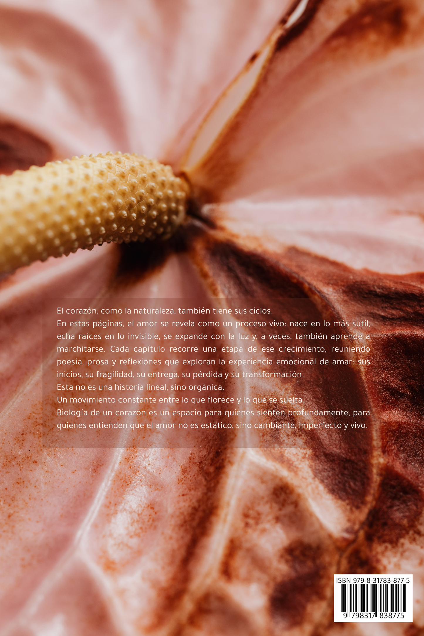 Biología de un corazón