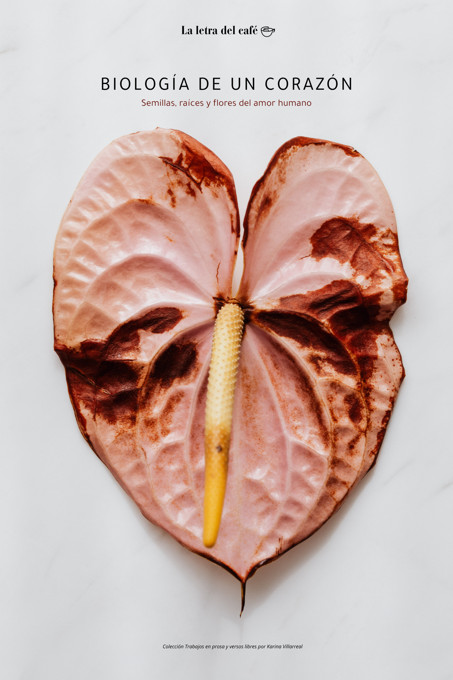 Biología de un corazón