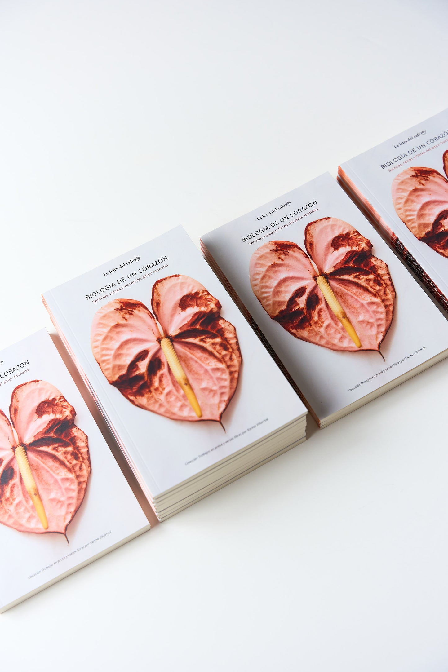 Biología de un corazón