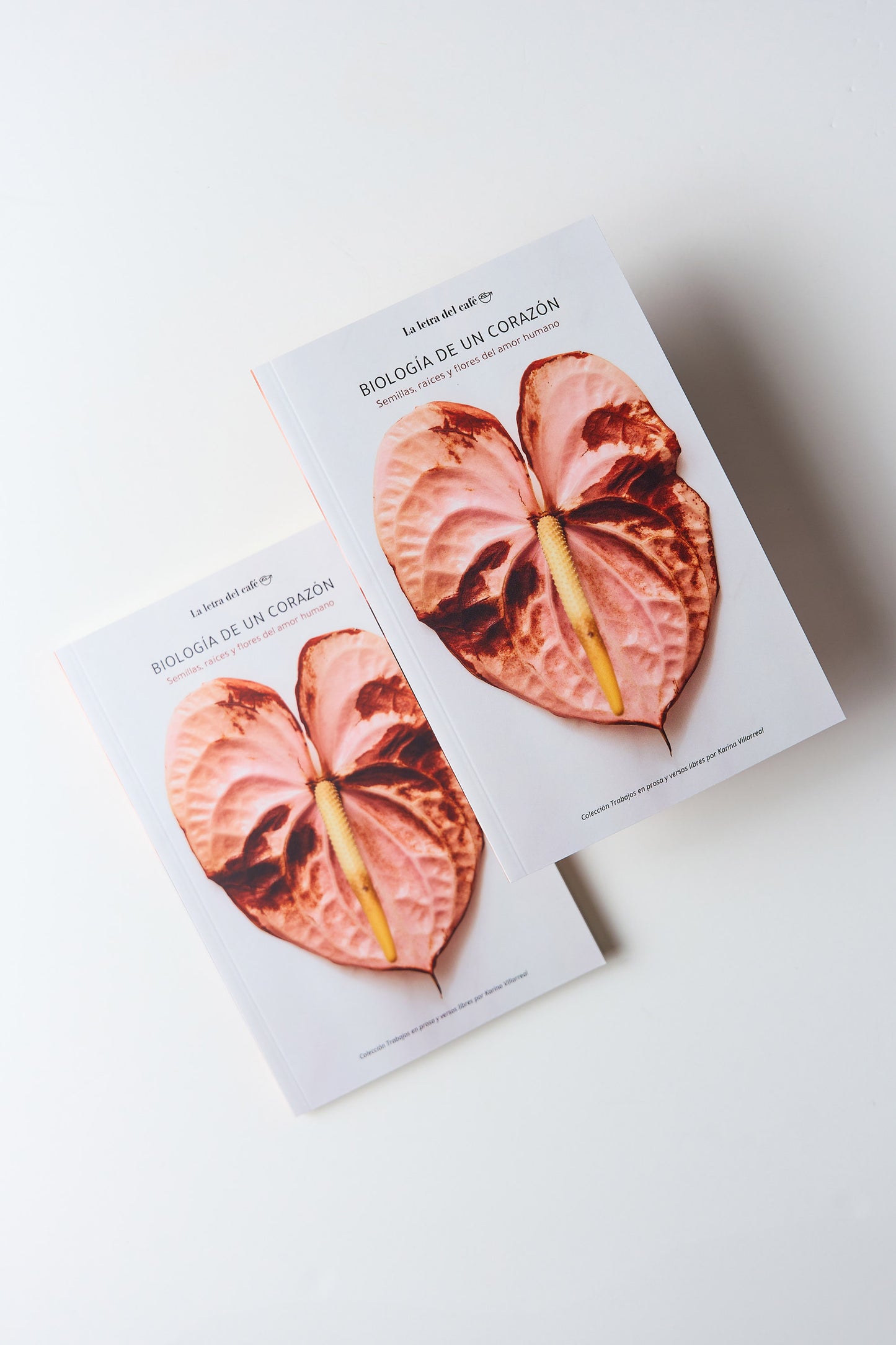 Biología de un corazón