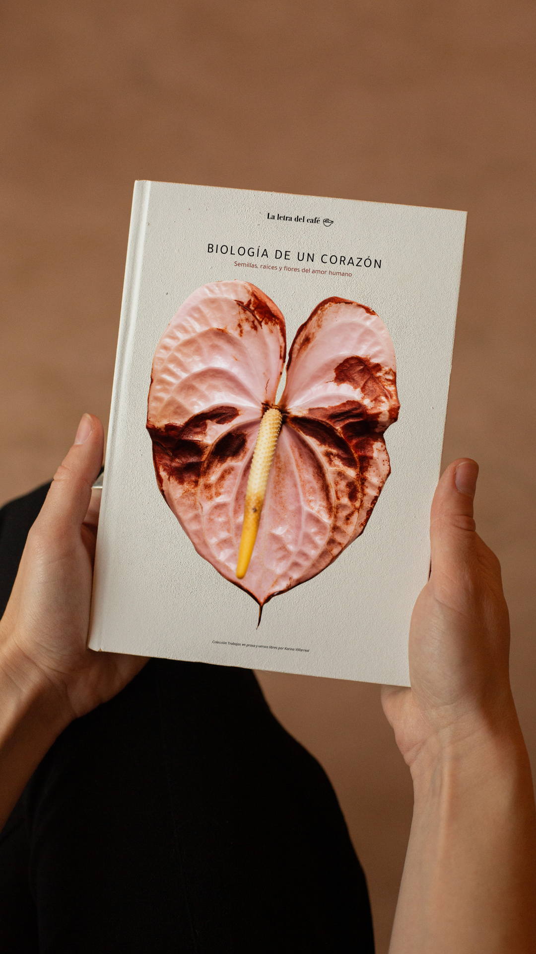 Biología de un corazón